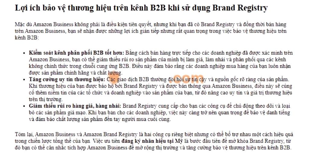 Lợi ích bảo vệ thương hiệu trên kênh B2B khi sử dụng Brand Registry